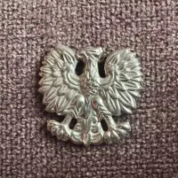 Polski orzełek / orzeł — ujęcie 4