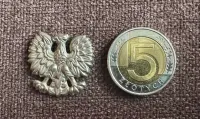 Polski orzełek / orzeł — ujęcie 2