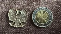 Polski orzełek / orzeł — ujęcie 3