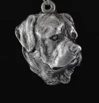 Rottweiler V naszyjnik posrebrzany Art-Dog — ujęcie 3