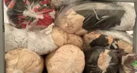 Ścinki produkcyje bawełna wiskoza po automatycznym krojenu zmieszane — ujęcie 3
