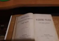 Wizerunki Polskie -Tyszyński + Dziewica Orleańska Libelta- W-wa 1874i5 — ujęcie 2