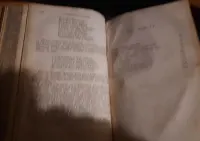 Wizerunki Polskie -Tyszyński + Dziewica Orleańska Libelta- W-wa 1874i5 — ujęcie 5