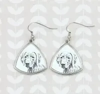 Wyżeł weimarski kolczyki ze zdjęciem psa Art-Dog — ujęcie 3