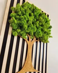 Drewniana dekoracja ścienna 3D z mchem chrobotkiem o wymiarach 40x60 cm. — ujęcie 3