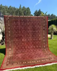 Dywan Kaszmirowy Wełniany PERSKI Indo BIDJAR 350x250 NAJTANIEJ W POLSCE — ujęcie 3
