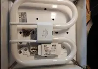 Lampa sufitowa / ścienna EGLO 88088 + żarówka GR8 - 2 szt. — ujęcie 5