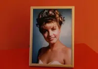 Laura Palmer / Twin Peaks, portret / fotografia / zdjęcie ramka — ujęcie 5