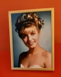Laura Palmer / Twin Peaks, portret / fotografia / zdjęcie ramka — ujęcie 3