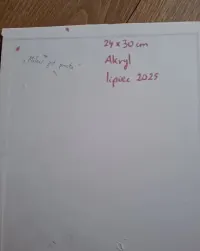 Obraz akrylowy dekoracyjny łabędzie — ujęcie 5
