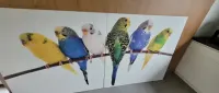 Obraz duży format 120×120 wydruk — ujęcie 2