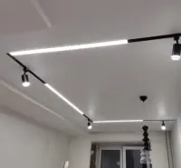 Oświetlenie Led , Podświetlany Sufit , LED , Sufity Napinane — ujęcie 5