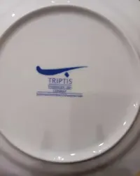 Porcelanowy talerz obiadowy TRIPTIS Thuringen 1891 Germany — ujęcie 3
