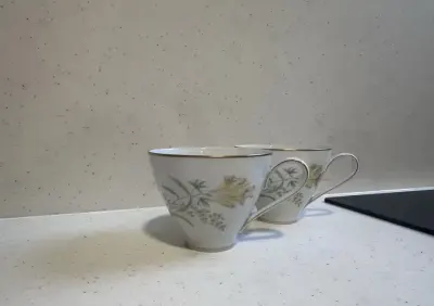 2 filiżanki Rosenthal Bettina — praca Agnieszka, Lubin