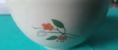 Miseczka porcelanowa — praca jarek, Racibórz