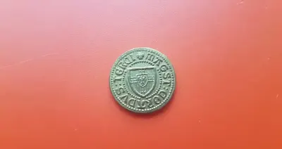 Moneta z Golub Dobrzyń okolicznościowa — praca Dawid, Bydgoszcz