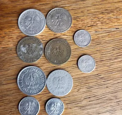 Monety 10sztuk 0.50zł - 20zł ⁷⁹ — praca magdacd75, Lasówka