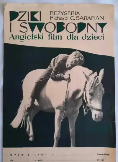 Plakat Filmowy Dziki i Swobodny ok. 1970 r. Oryginał Vintage PRL — praca galeriaszafa, Bydgoszcz