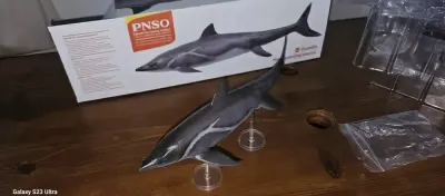 PNSO Guanlingsaurus — praca Karol, Działdowo