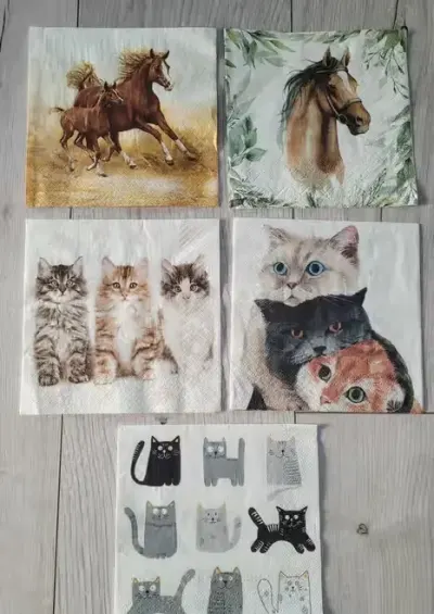 Serwetki decoupage - zwierzęta - 10 elementów — praca Dorota, Bydgoszcz