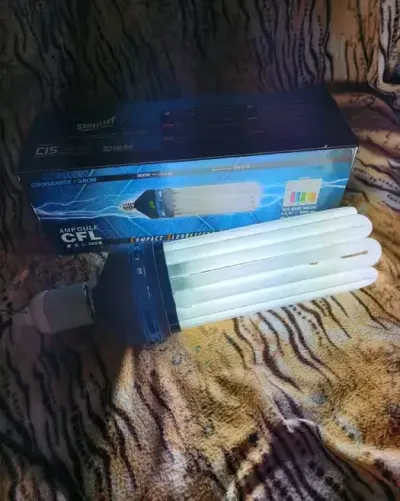 Lampa CFL 300w na wzrost DARMOWA WYSYŁKA inpost — praca martakowalczyk935, Lublin