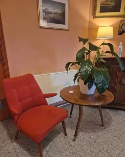 Fotel  kolekcjonerski z lat 60 nowe obicie, razem ze stolikiem z epoki — praca jacek.kusinski, Łódź
