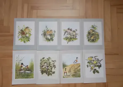 Grafika vintage, 8 dekoracyjnych plansz tematyka ornitologiczna Anglia — praca Ludwika, Kraków