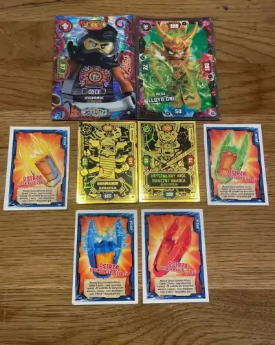 Karty ninjago 2 złote edycje 2 XXL i 4 ostrza czasu — praca kredyty24.lodz, Łódź