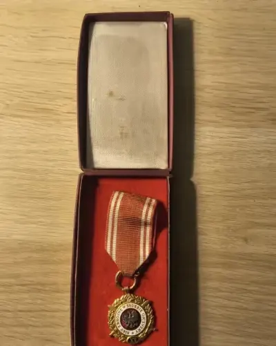 Medal siły zbrojne w służbie ojczyzny 20 lat — praca Igor, Kraków