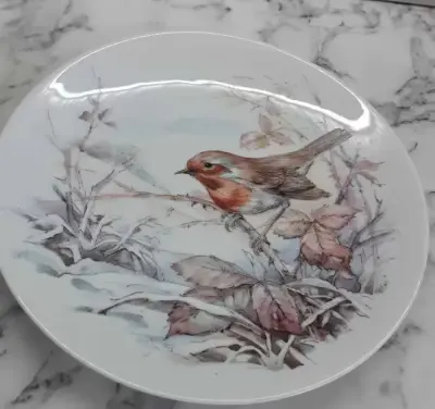 Talerz kolekcjonerski Royal Worcester Rudzik — praca KOKOTKA, Warszawa