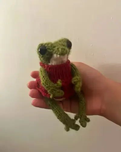 Żabka w sukience – ręcznie robiona maskotka handmade — praca Ola, Warszawa