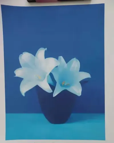 Plakat Masao Ota Lilie 40 x 50 — praca Zuza, Wrocław