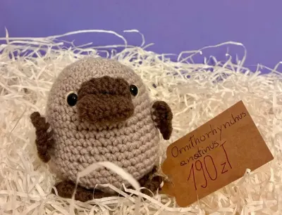 Dziobak amigurumi| rękodzieło na szydełku| sprzedaż charytatywna — praca Paweł M., Wrocław