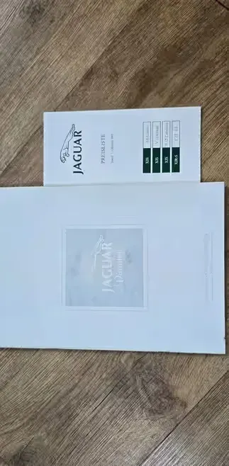 Prospekt Jaguar program — praca PROspektor, Jawiszowice