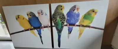 Obraz duży format 120×120 wydruk — praca Danuta, Cieszyn