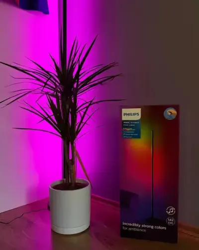 Philips RGBIC Floor Lamp 142 cm – Nowa Lampa Stojąca LED RGB z pilotem — praca Dawid, Bobrowniki